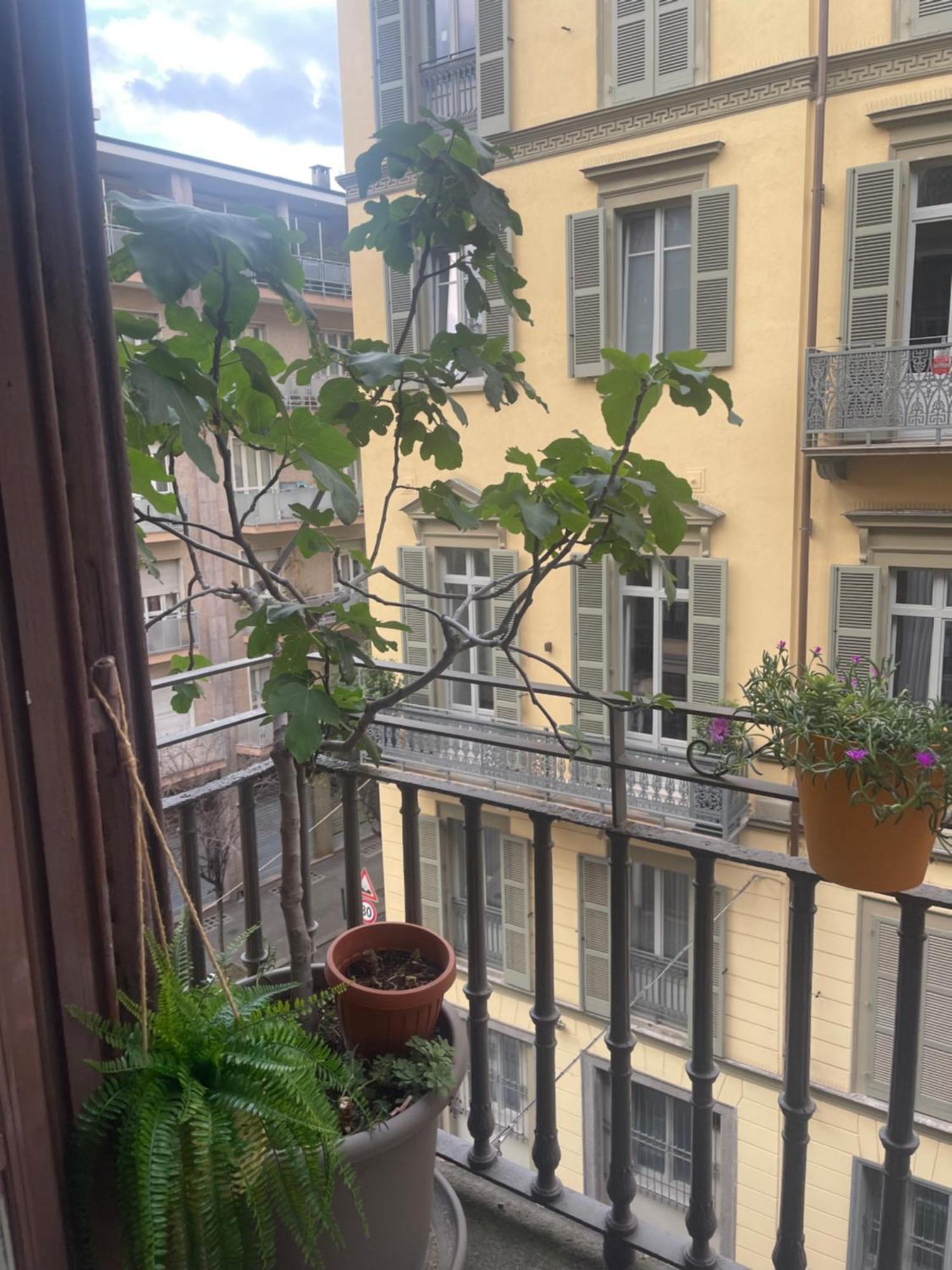 Torino Natura In Centro Экстерьер фото